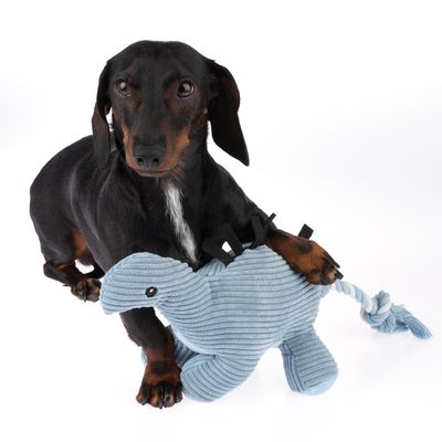 TIAKI Hundespielzeug Stegosaurus