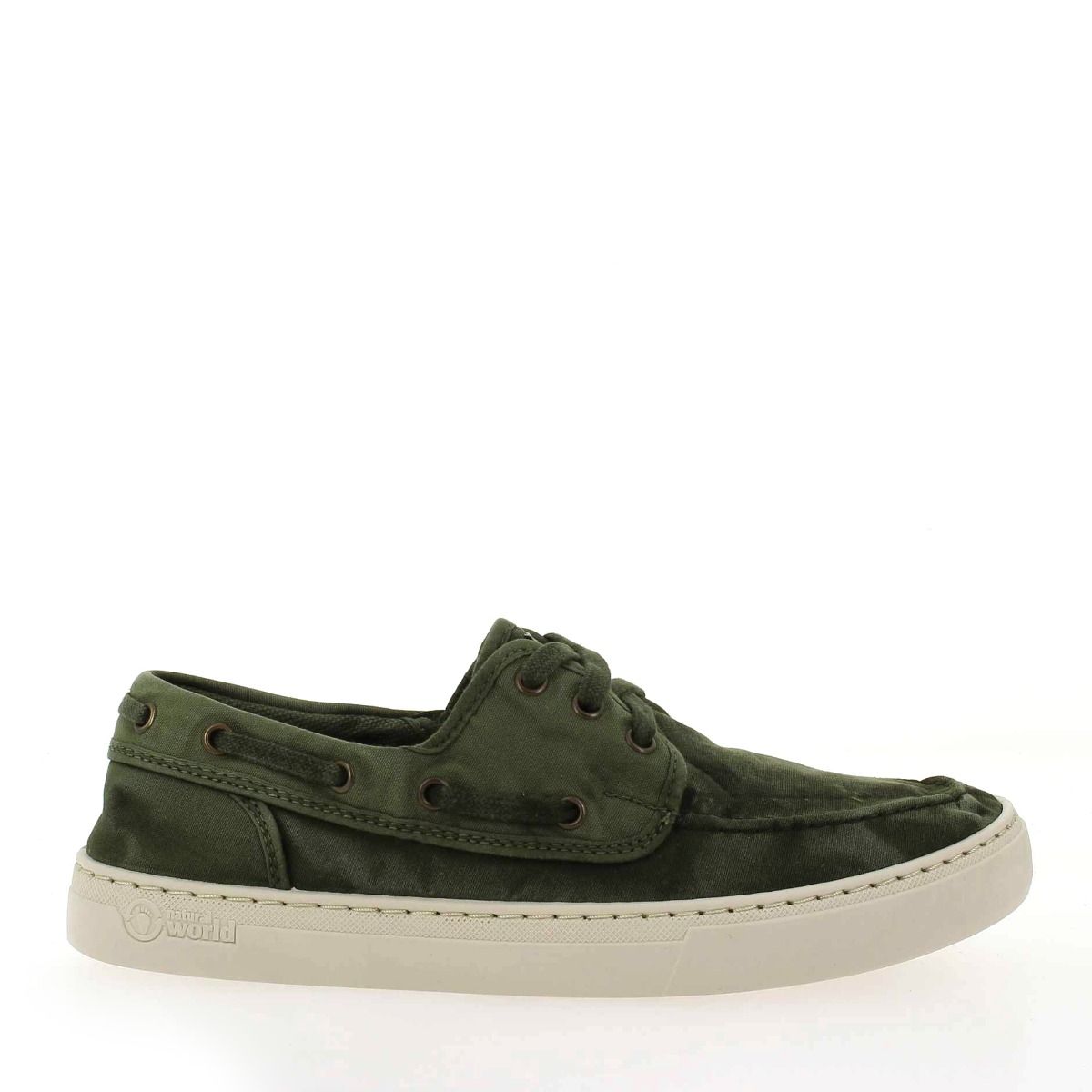 Natural world  6603E - Kaki