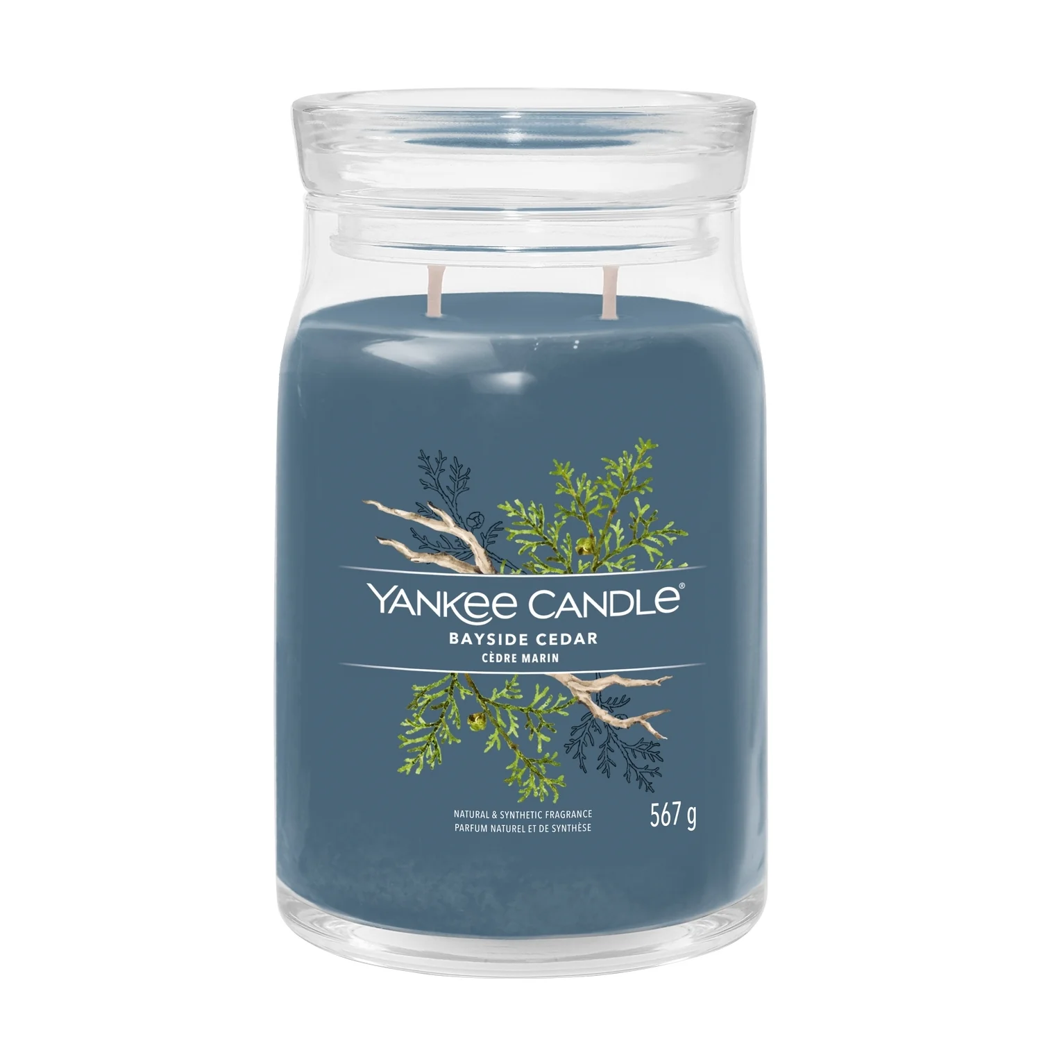 Signature Jar Candles Bayside Cedar - Candela Profumata