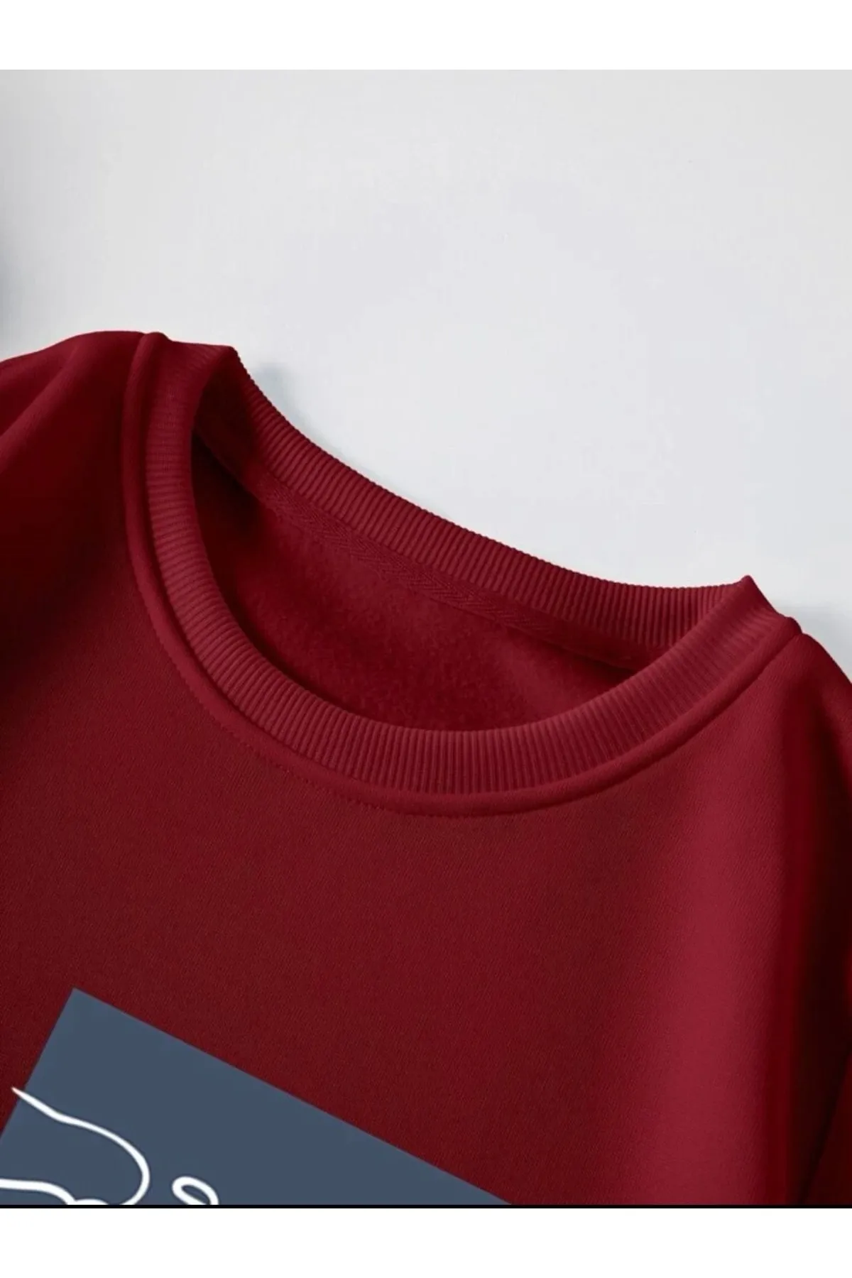 MOONBULL  Sweatshirt - Bordeaux - Regular Fit