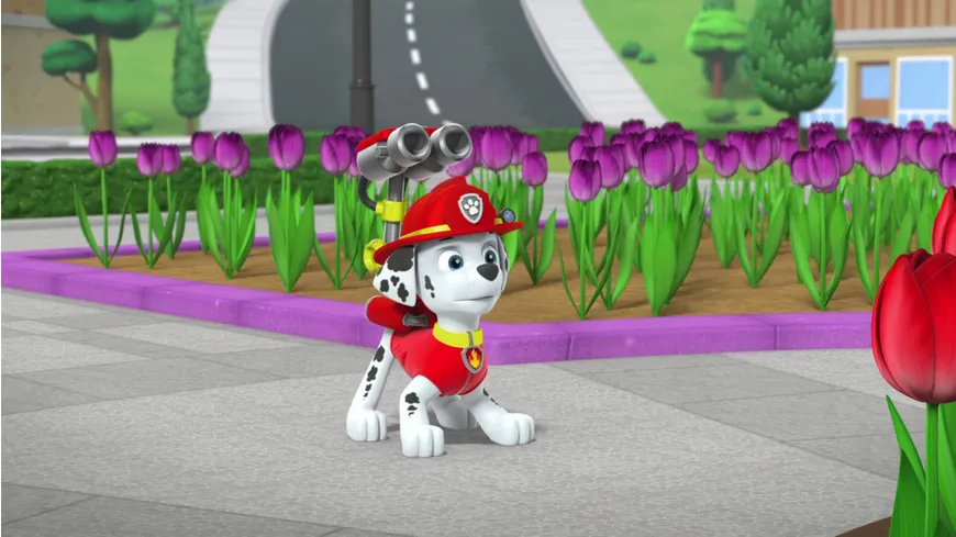 Paw Patrol - Ostern auf vier Pfoten