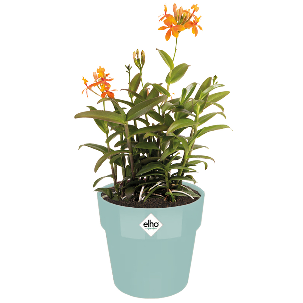 Casaria Deuba® Blumentopf Mint 18x17cm 2,9L