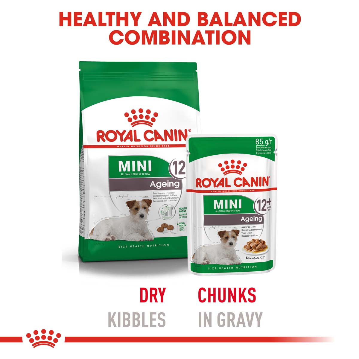 ROYAL CANIN MINI Ageing 12+ Trockenfutter für ältere kleine Hunde
