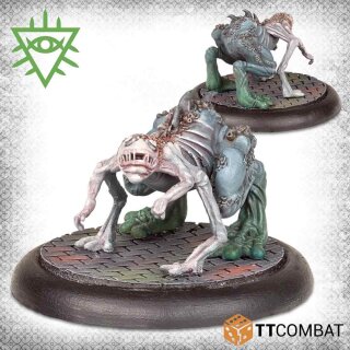 Matriarch's Brood