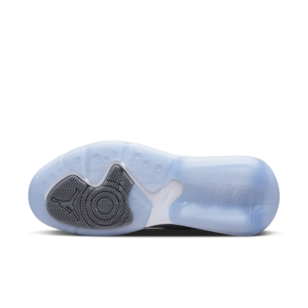 NIKE JORDAN Point Lane CZ4166-002 / grau