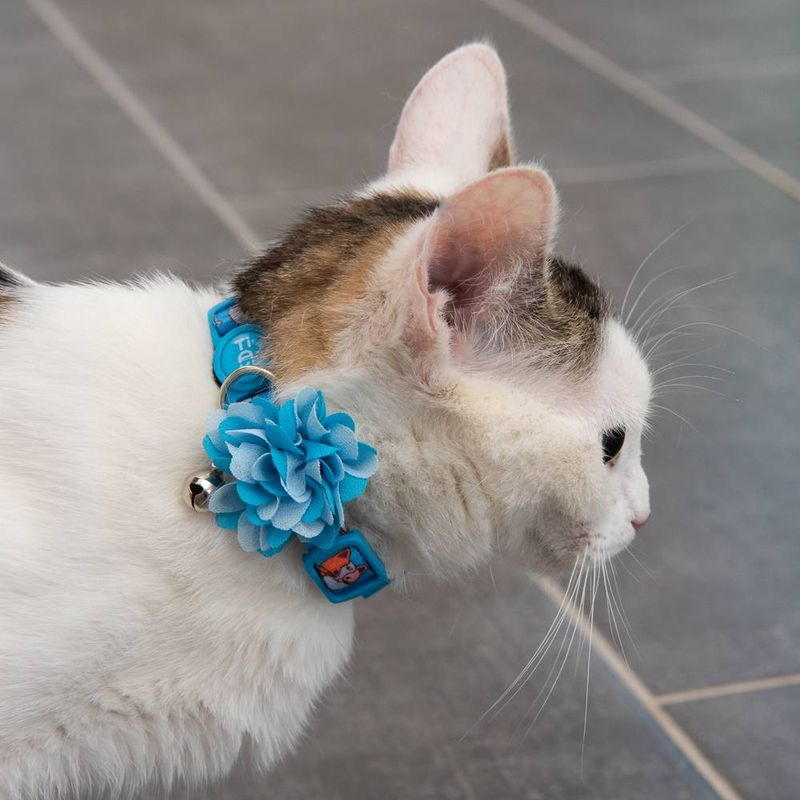 TIAKI Katzenhalsband Fishbone zu TOP-Preisen
