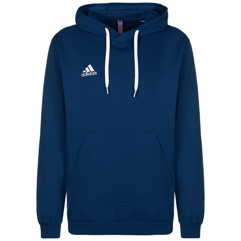 adidas Entrada 22 Hoodie Herren