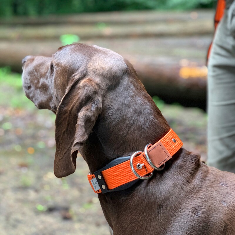 WowWow Hundehalsband Professional