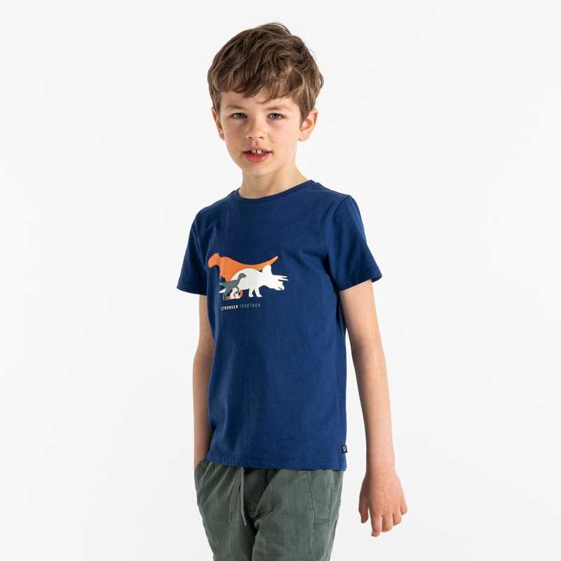 T-shirt motif dinosaures bleu garçon