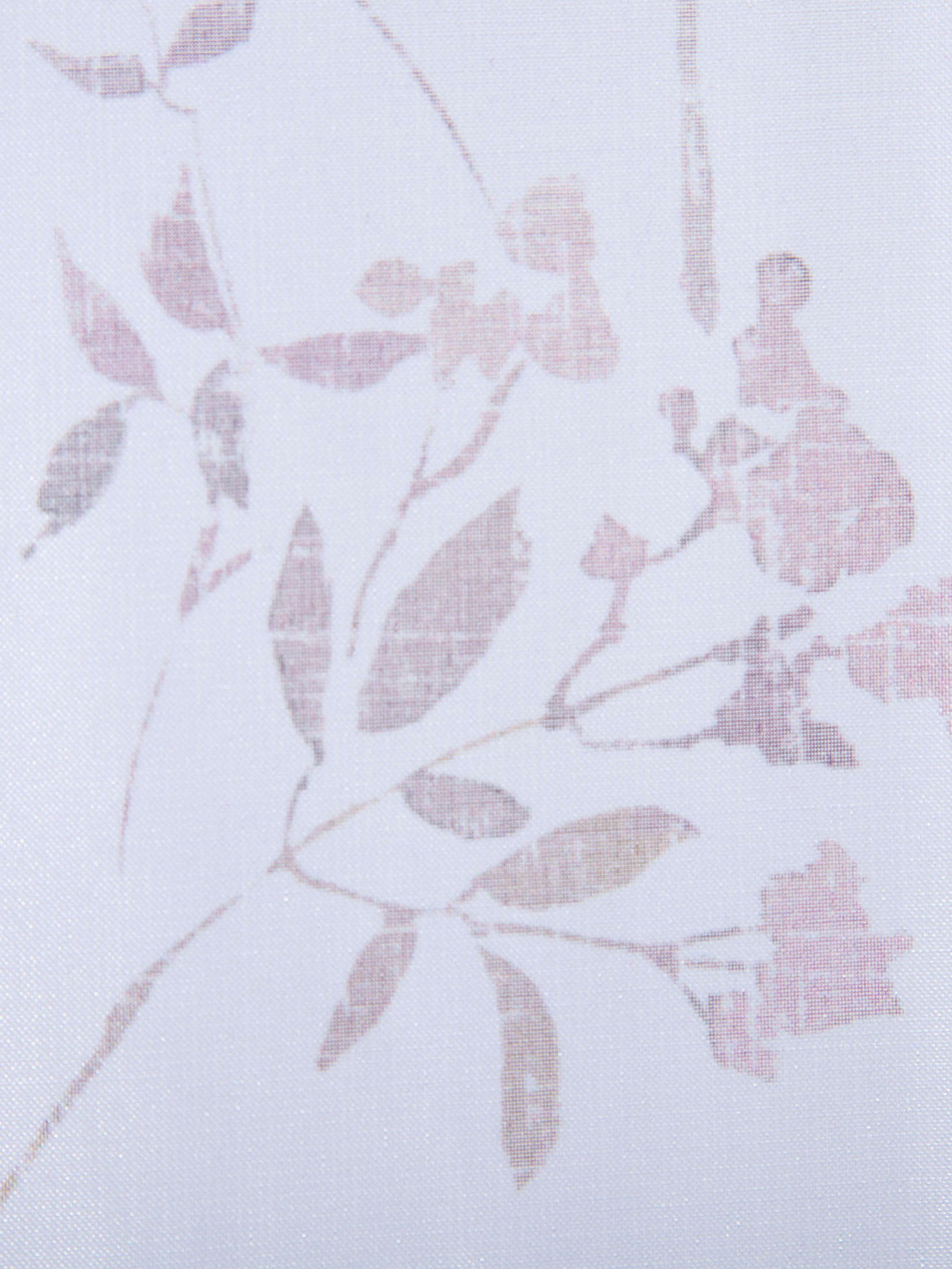 Evi Flächenvorhang, Rose