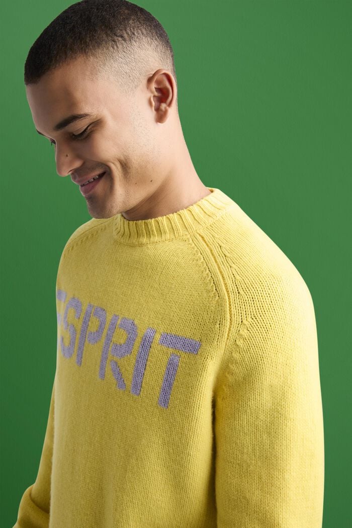 Logo-Pullover aus Wolle und Kaschmir
