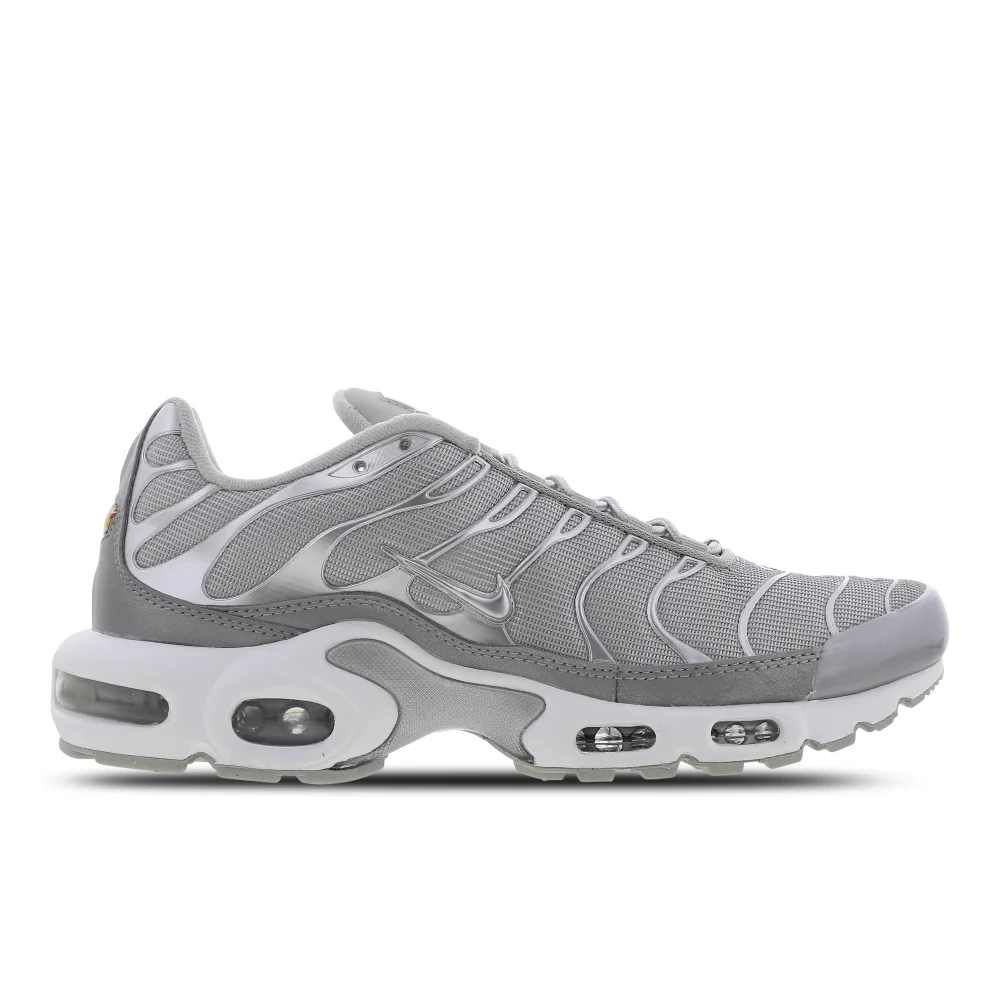 Nike Air Max Plus FJ1012-095 / grau