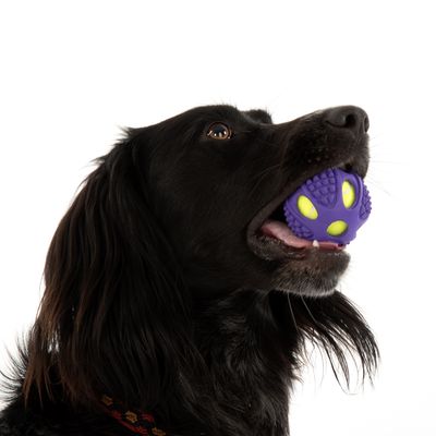 Hundespielzeug Gummi-Tennis-Ball 2in1