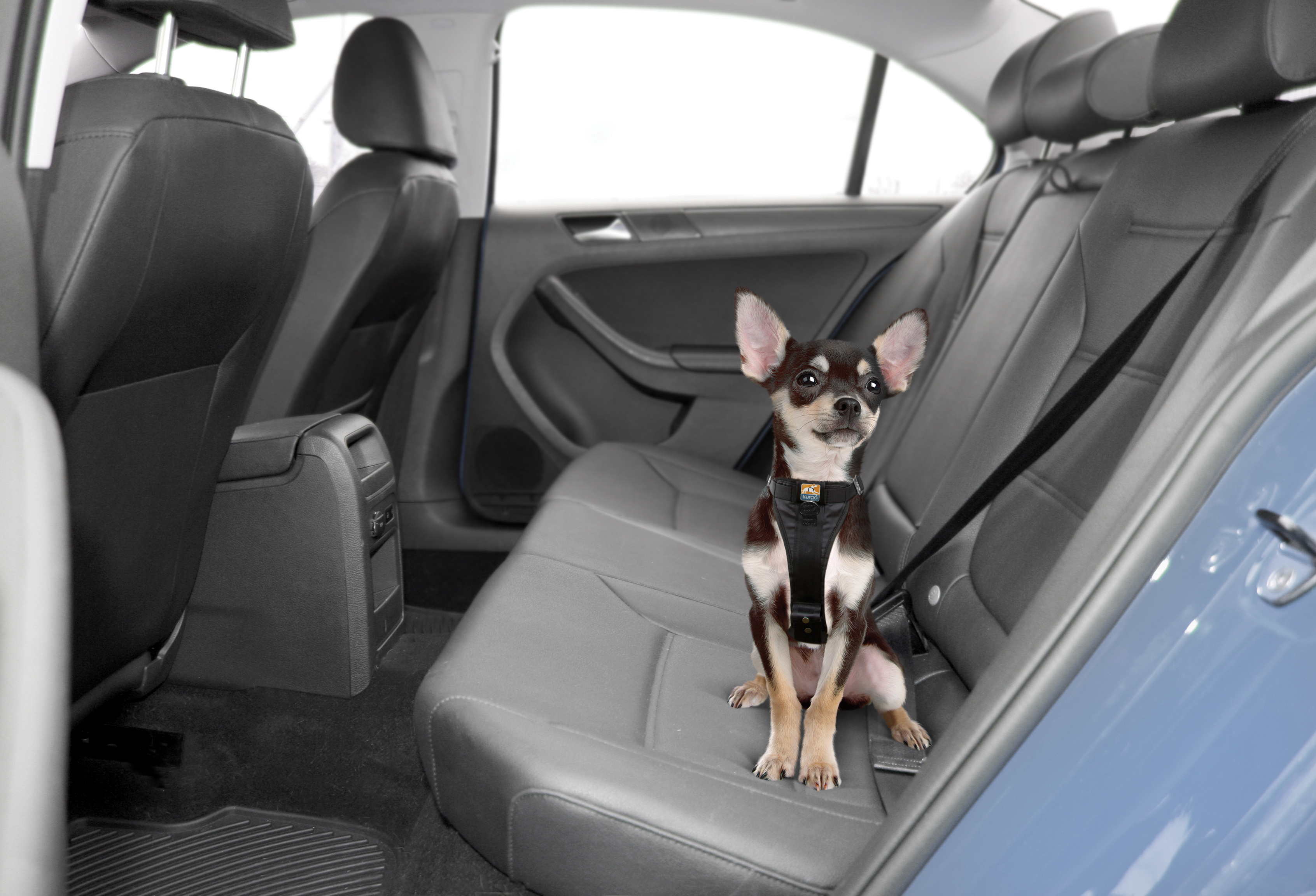 Kurgo Hundegeschirre Kurgo Sicherheitsgeschirr XL