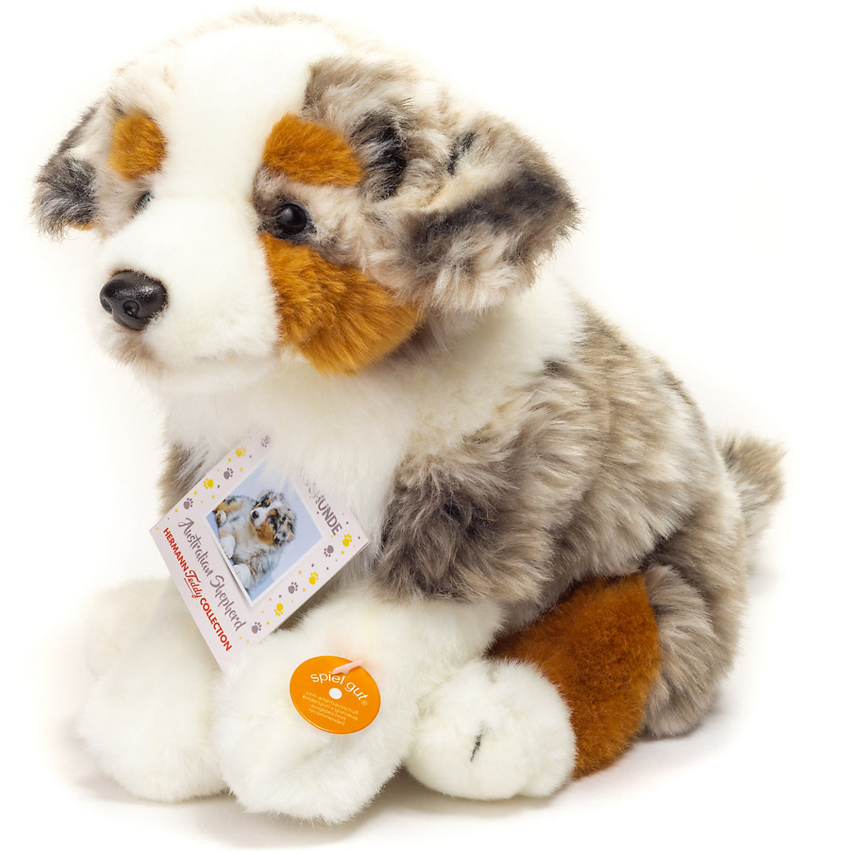 Australian Shepherd Welpe sitzend 22 cm