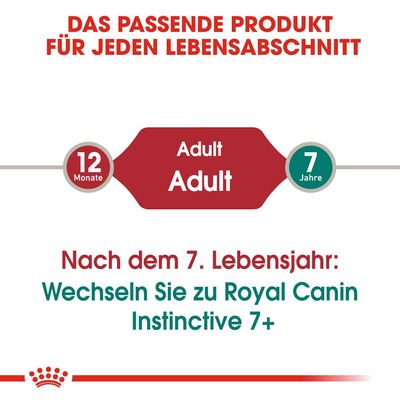 Royal Canin Instinctive in Gelee
