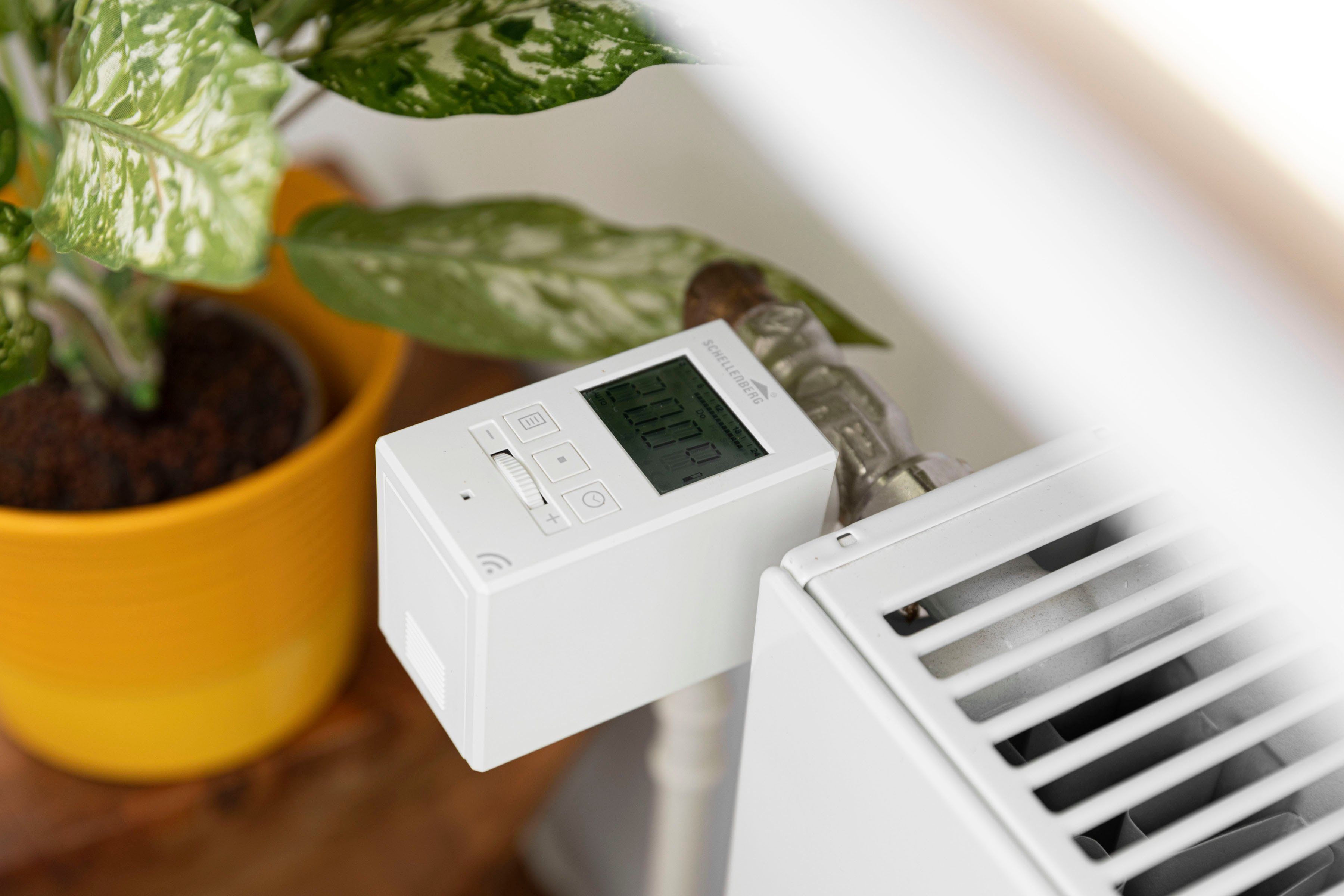 SCHELLENBERG Heizkörperthermostat Digital, 20101, (Inkl. Adapter-Set Danfoss RAV, RA, RAVL) einzeln, oder im 3er oder 5er Spar-Set erhältlich