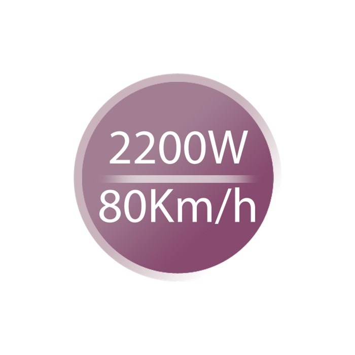 Haartrockner D5210