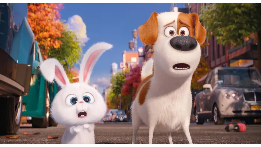 Pets (Illumination)