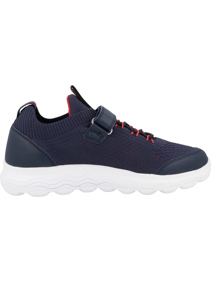 Geox Jungen Halbschuhe für Jungen in blau in blau günstig kaufen