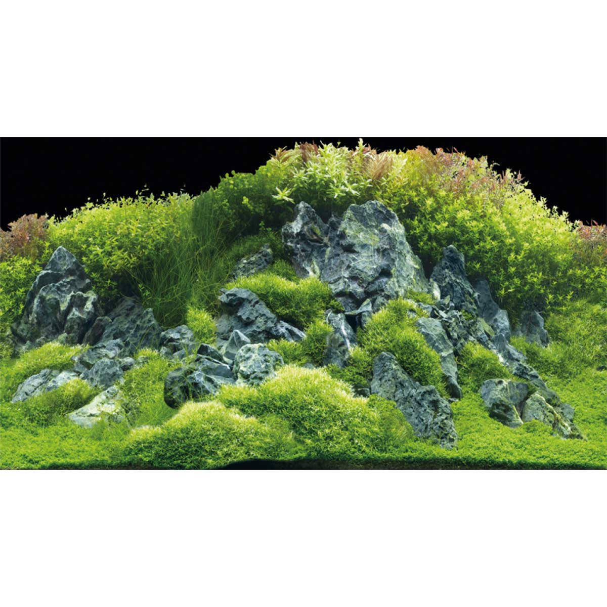 Hobby Aquarium Fotorückwand River / Rocks kaufen