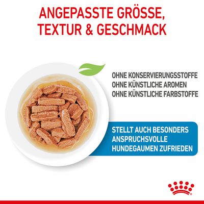 Royal Canin Medium Puppy in Soße