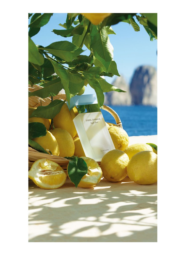 Apa de toaleta Dolce & Gabbana Albastru deschis