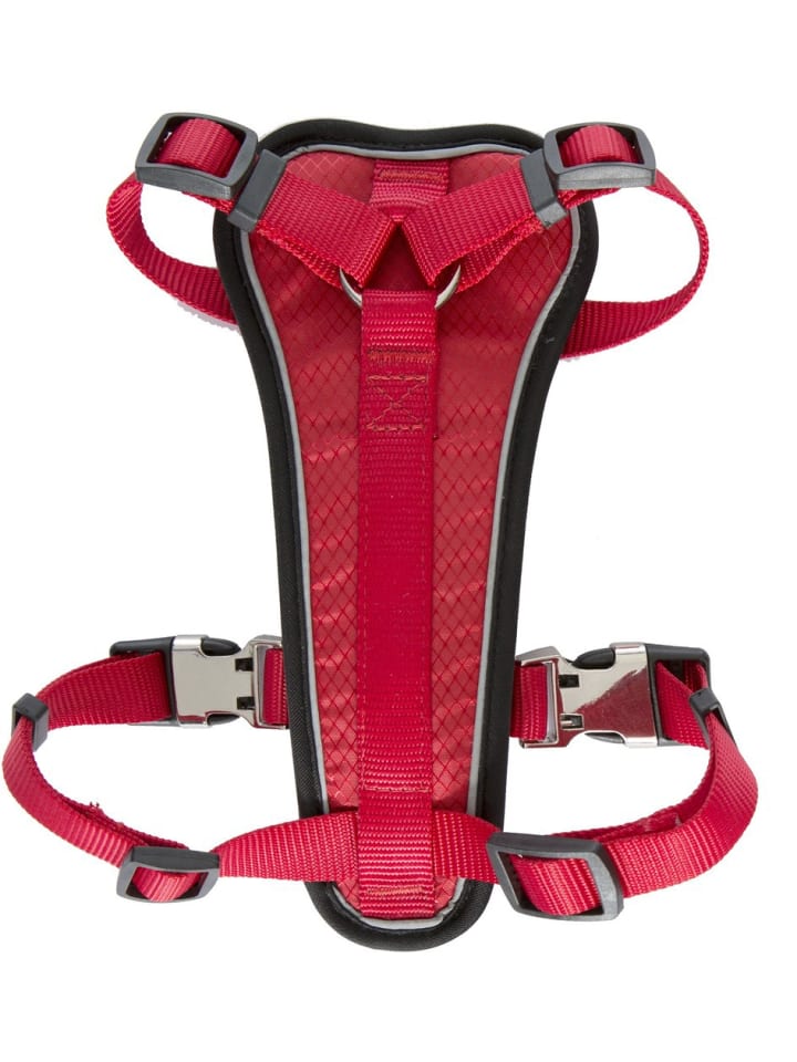 Trespass Hundehalsband in Rot günstig kaufen XXS/XS
