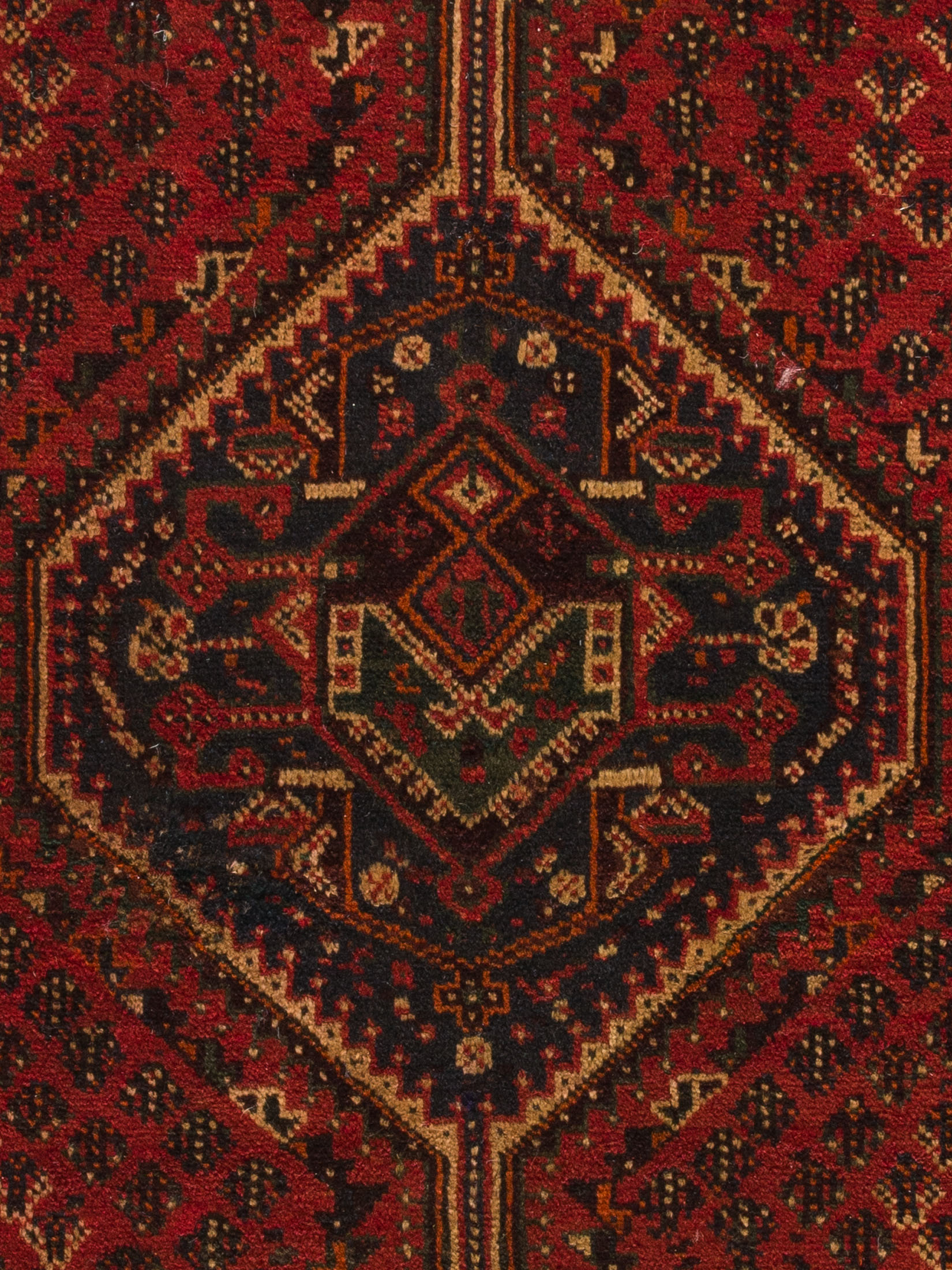 Shiraz ca. 215 x 295 cm, Unikat / Einzelstück