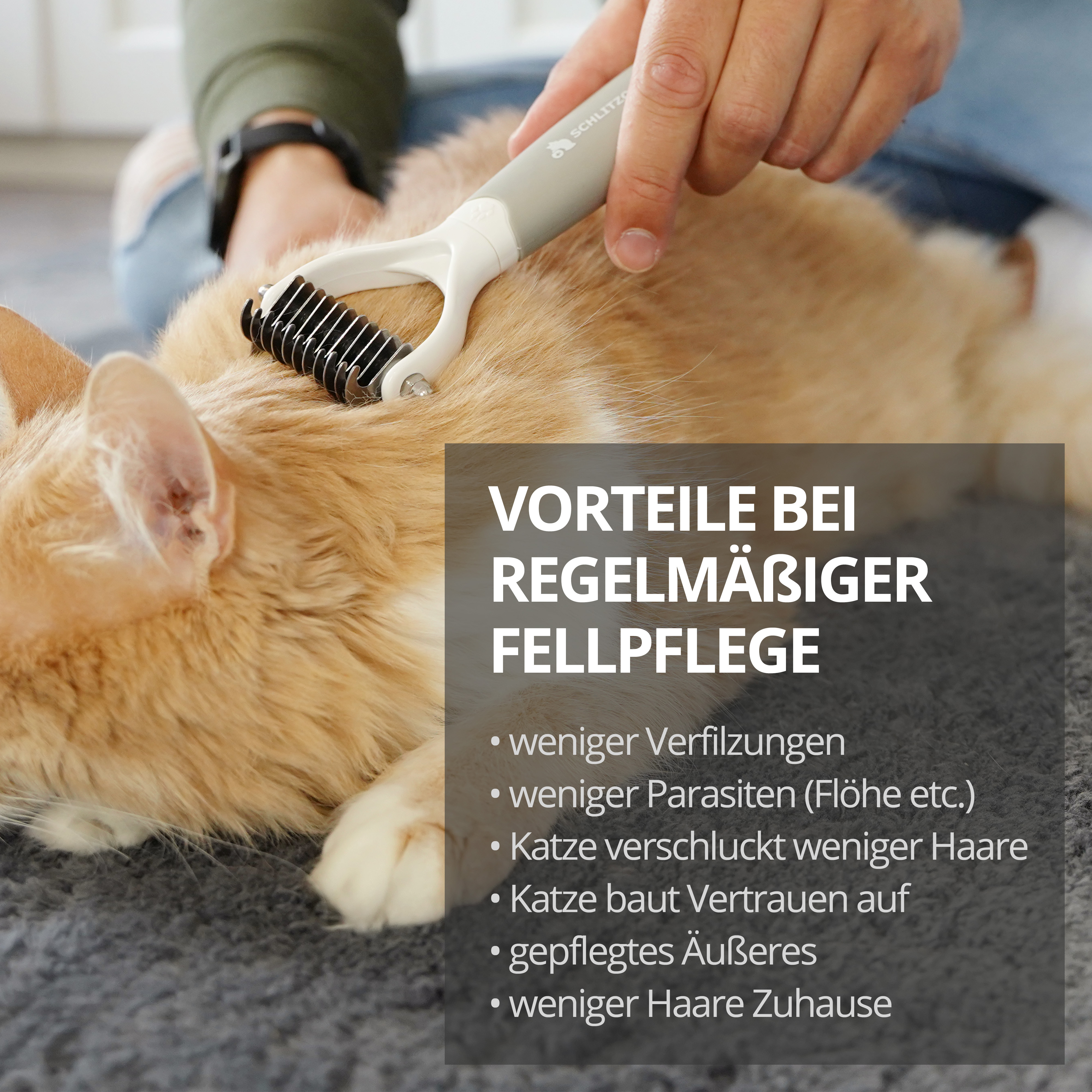 Schlitzohr Fellpflege Schlitzohr Unterfellbürste Cookie