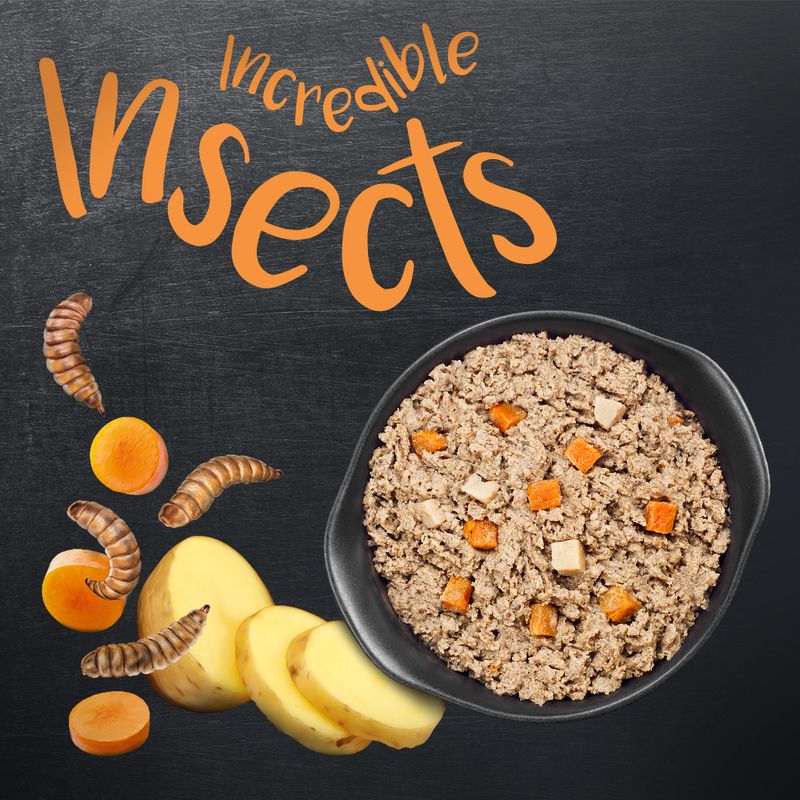 Greenwoods Insects Insekten mit Kartoffeln und Karotten