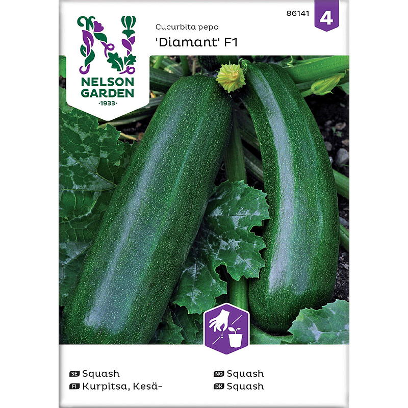 Nelson garden Frø Squash Diamant F1