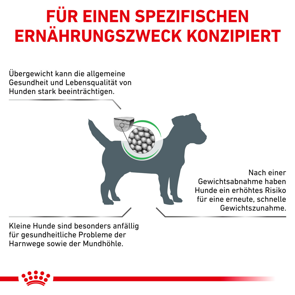 ROYAL CANIN Veterinary SATIETY SMALL DOGS Trockenfutter für Hunde