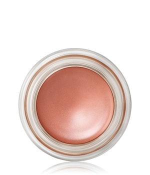 MAC Pro Longwear Paint Pot Lidschatten-5 g
