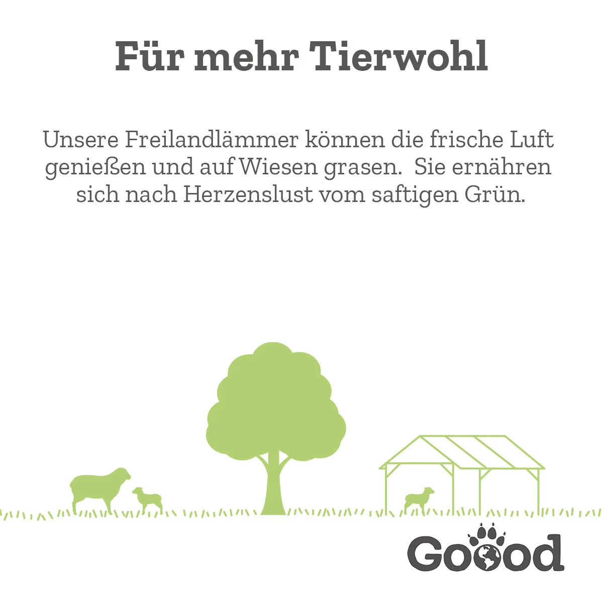 Goood Adult Freiland-Lamm günstig kaufen bei ZooRoyal