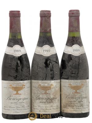 Bourgogne Gros Frère & Soeur  1989 - Lot de 3 Bouteilles