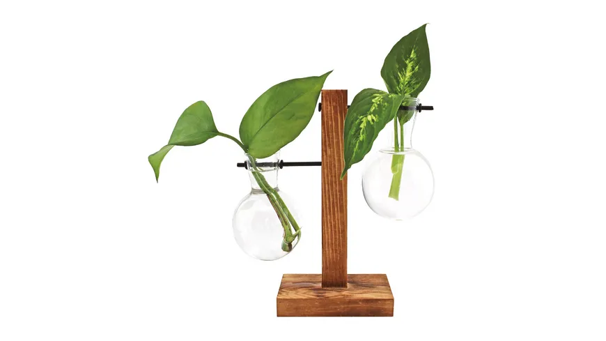 Winkee Hydro Vase Fleur
