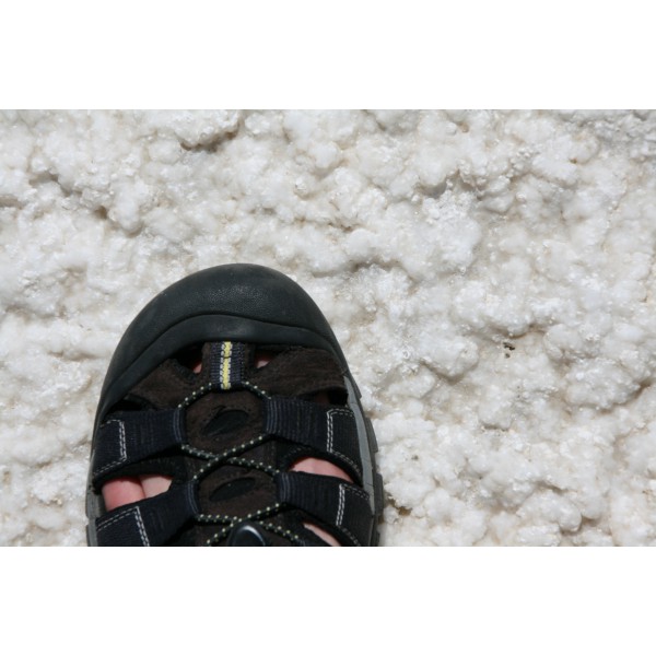 Keen - Men Newport H2 - Sandalen