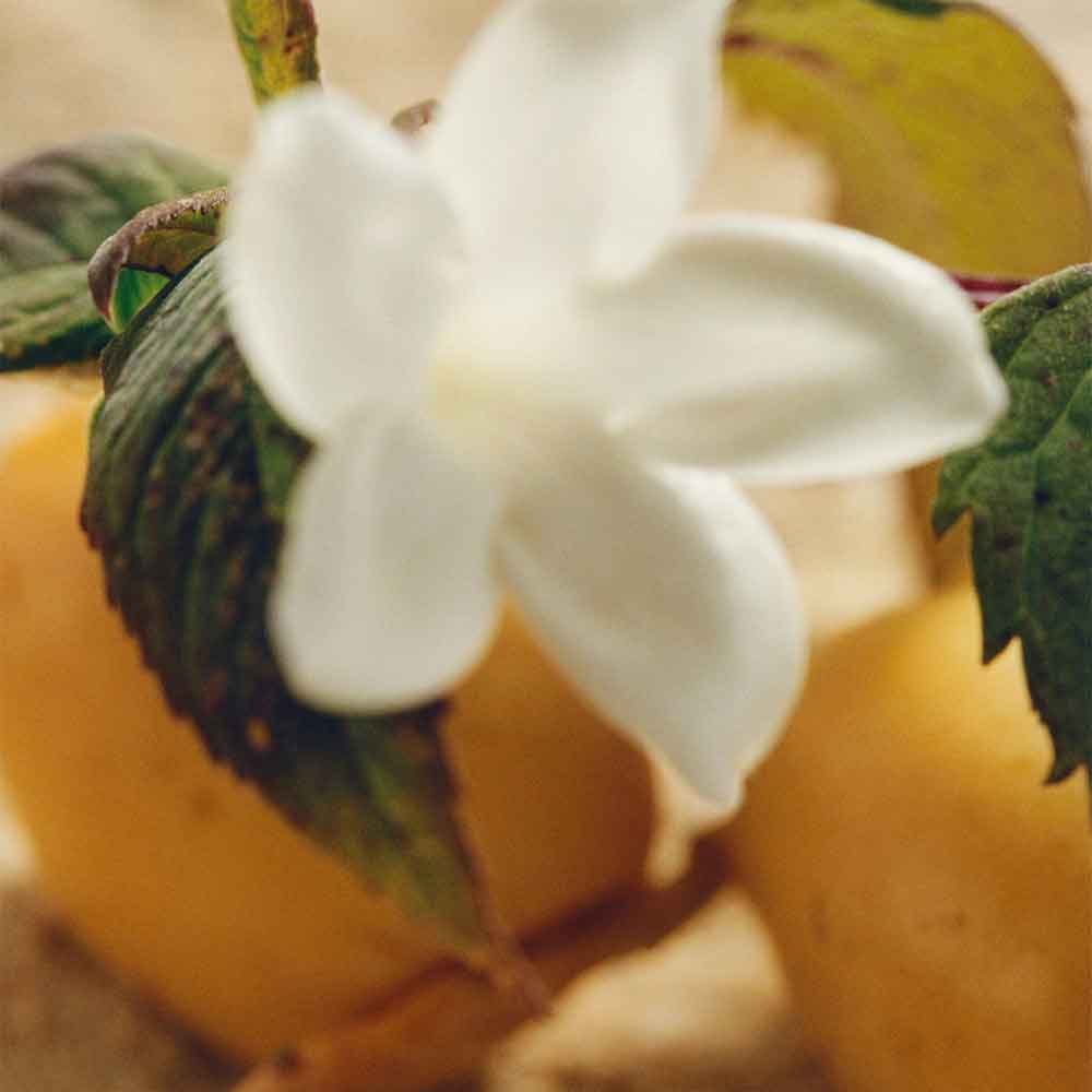 Chloé Nomade Intense Eau de Parfum Nat.Spray