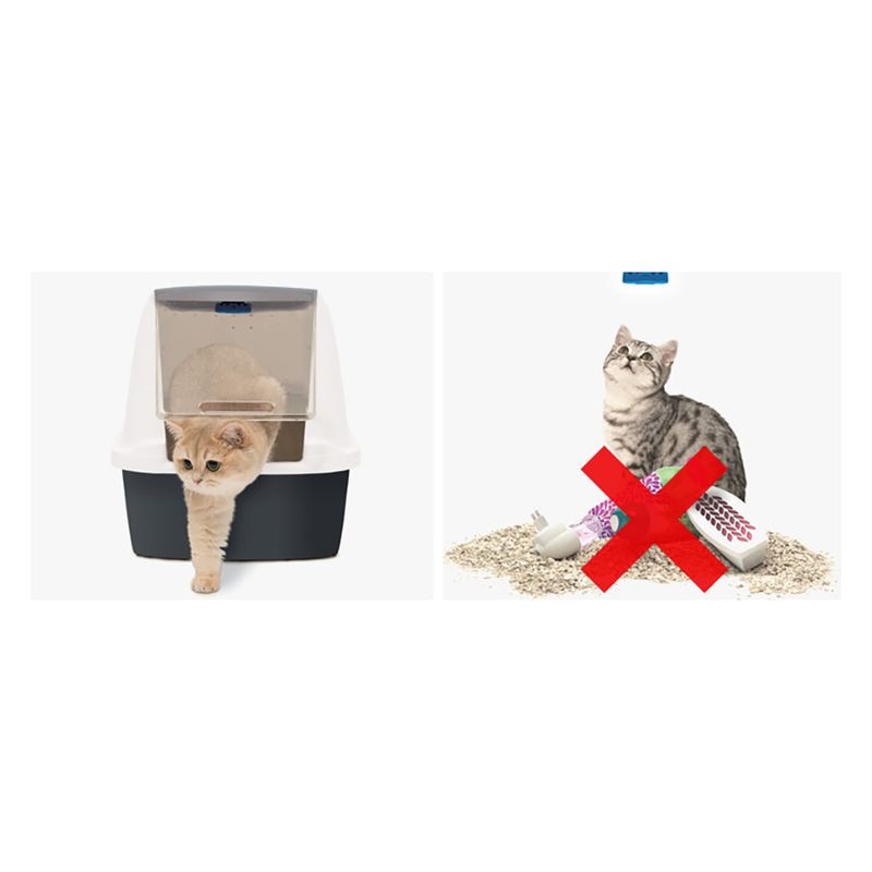 Catit Magic Blue zu TOP-Preisen