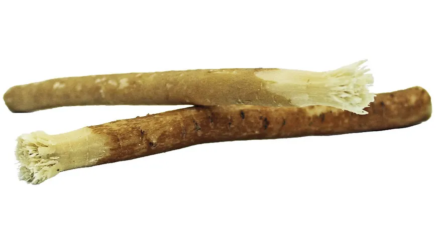 unicorn® Miswak Zahnpflegeholz