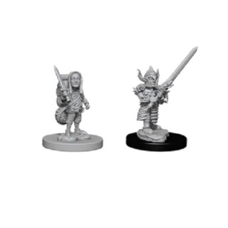 D&D Nolzur's Marvelous Unpainted Miniatures: Male Halfling Fighter