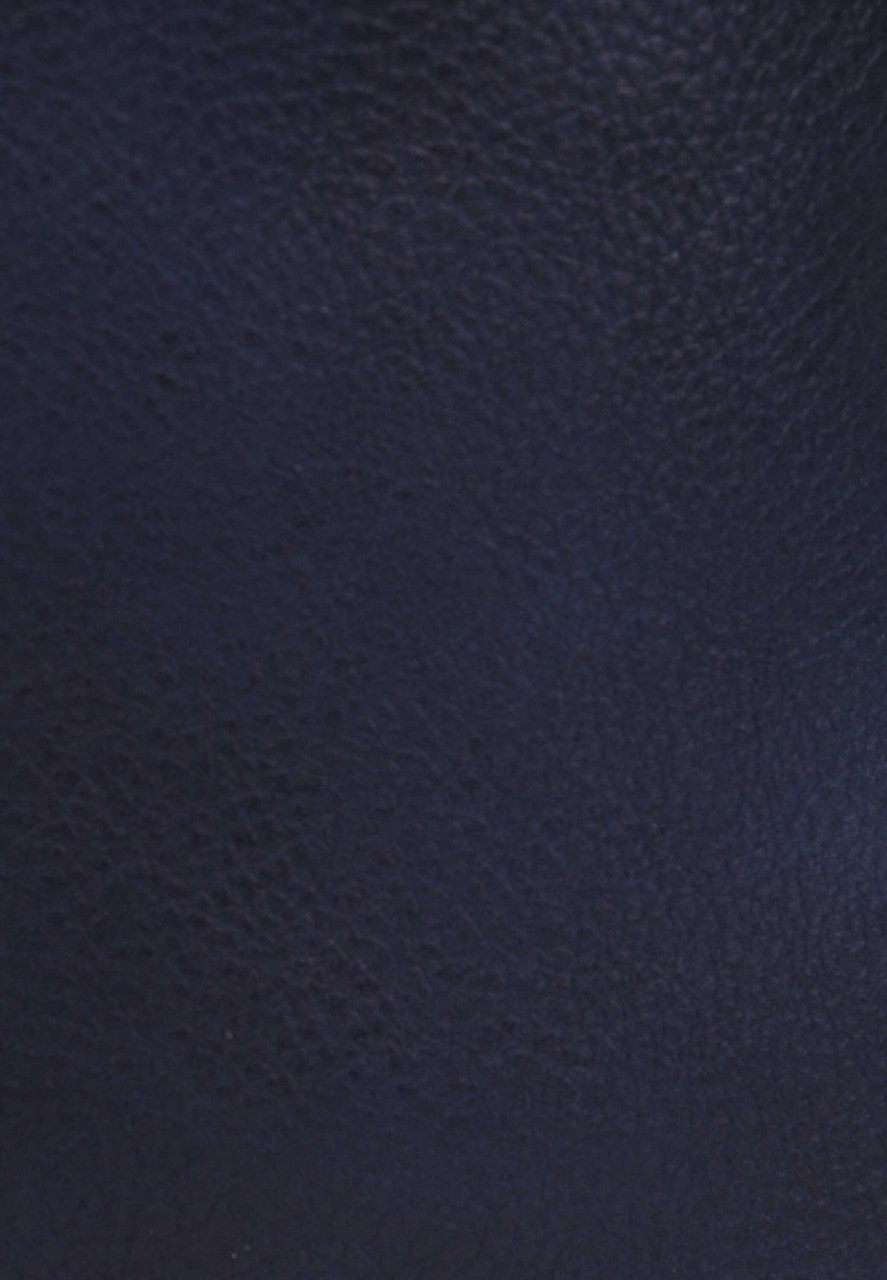 EMILY & NOAH Handtaschen blau