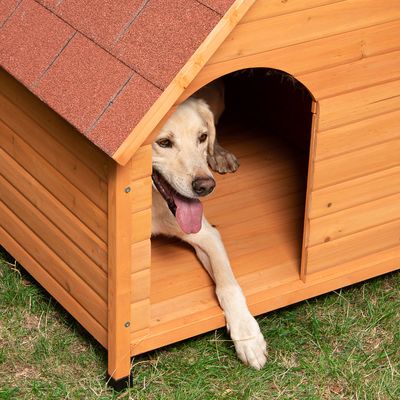 Hundehütte Spike Classic