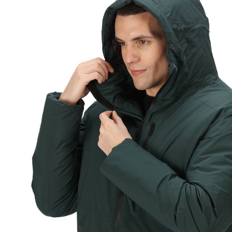 Regatta Colehurst Winterjacke Herren