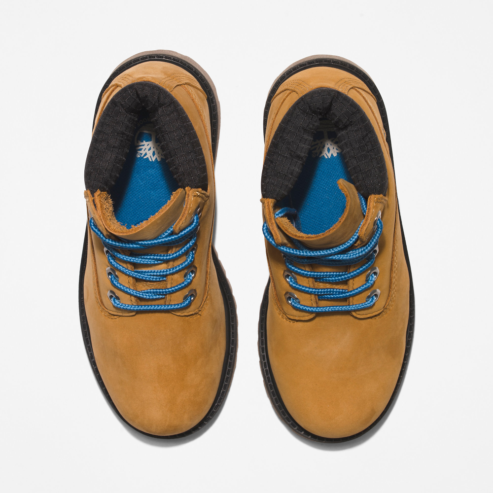 Timberland Premium 6 inch Boot TB0A272X2311 / braun