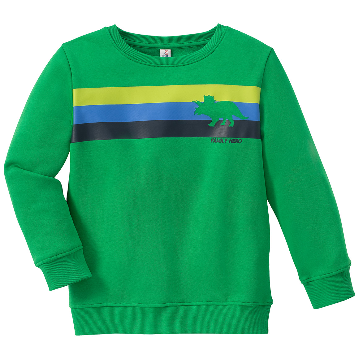 Jungen Sweatshirt mit Dino-Motiv