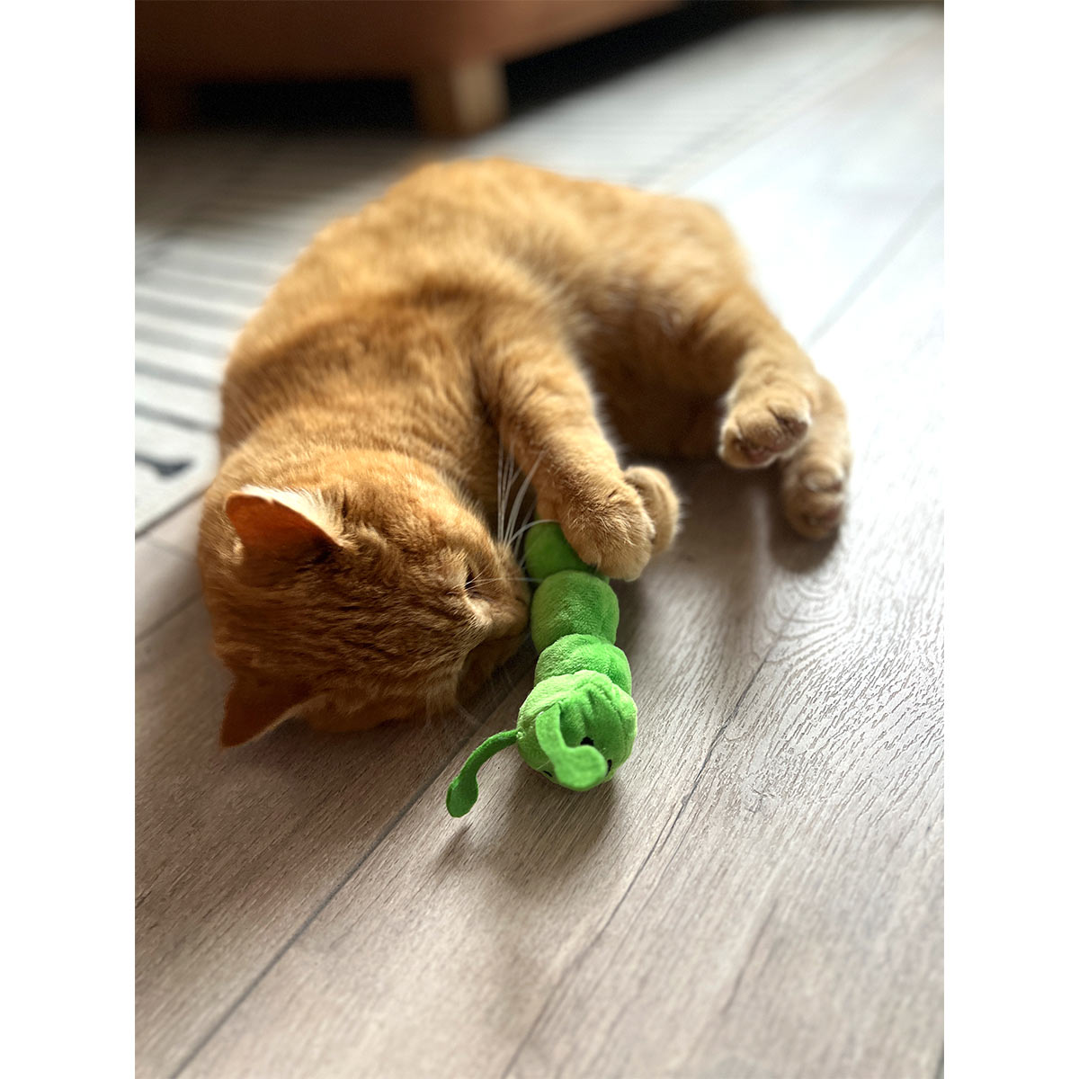 Aumüller Katzenspielkissen Raupe Pedro kaufen