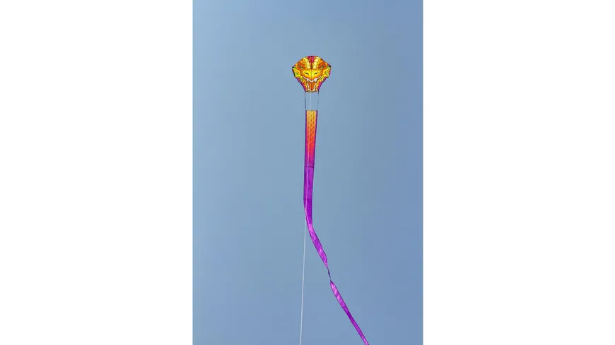 Dragonhead Kite - Kinderdrachen