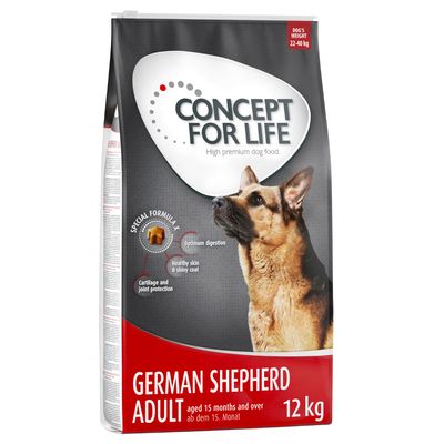 Sparpaket Concept for Life 2 x Großgebinde